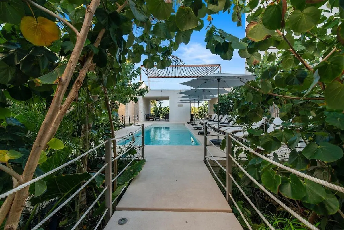 Apartment Akumal Escape Beach Access 7 Pools With Ocean View Beach Club Mexico